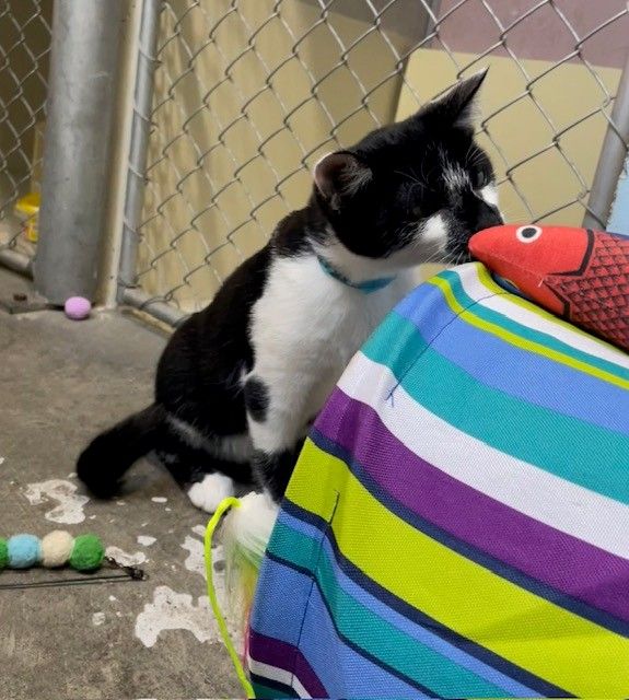 Gallery image: Dewey