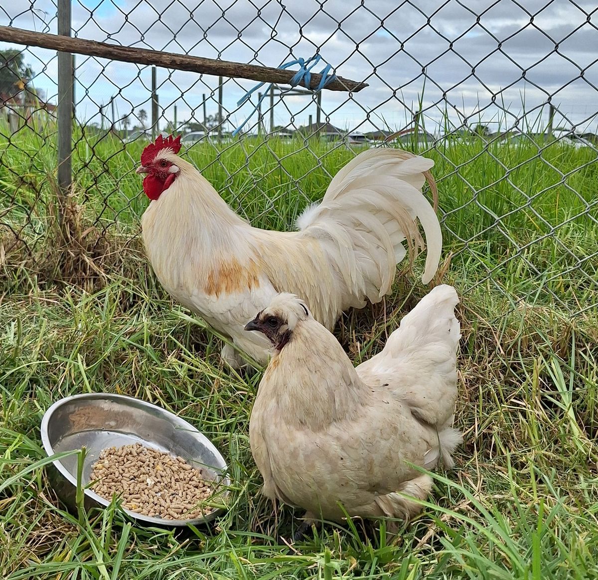 Gallery image: Ashley