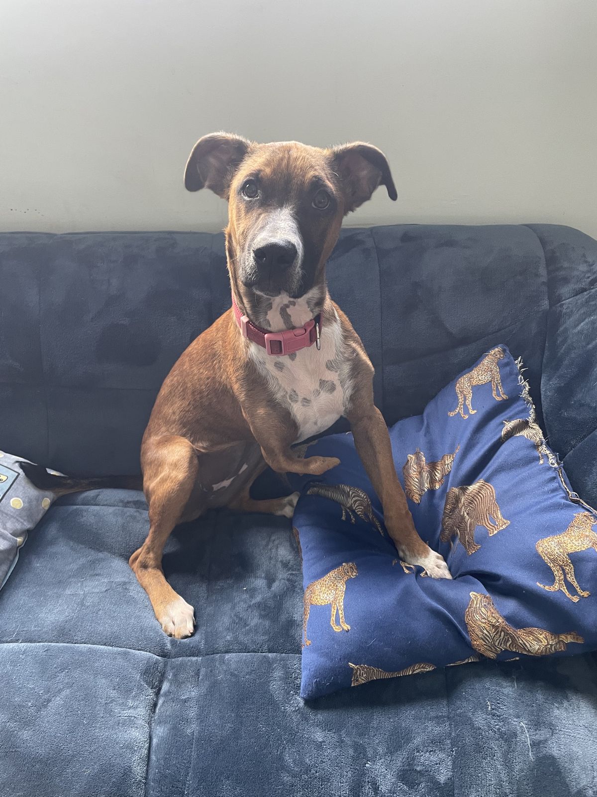 Gallery image: Peggy