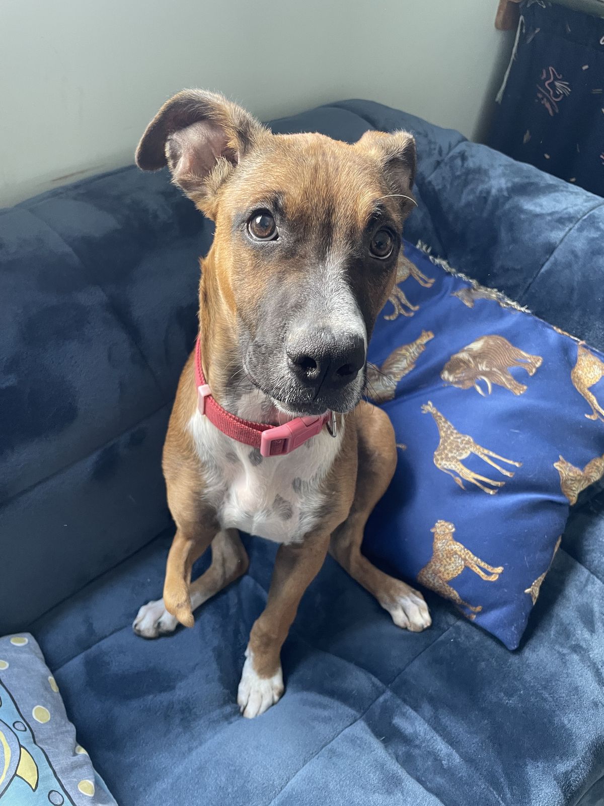 Gallery image: Peggy