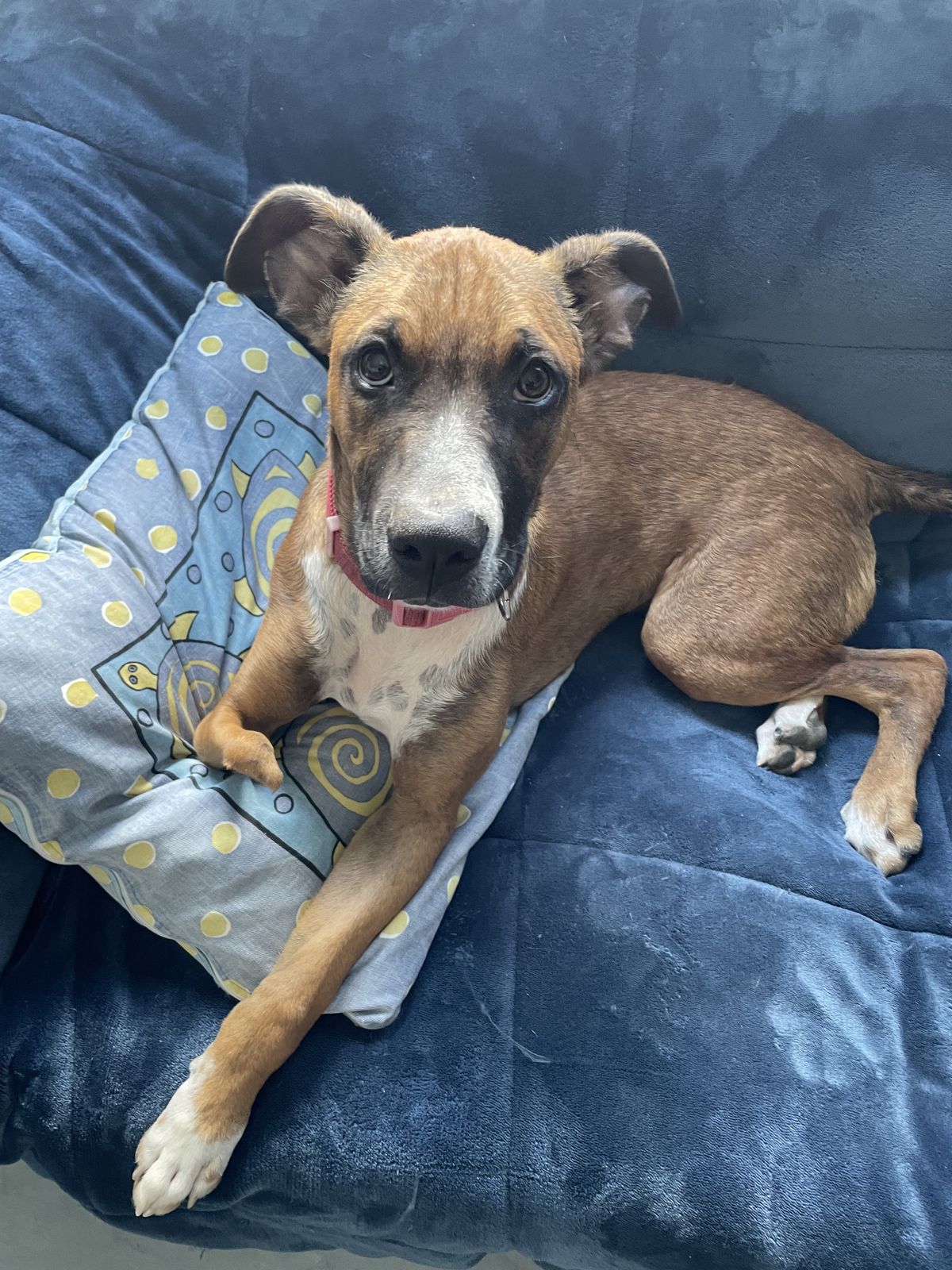 Gallery image: Peggy