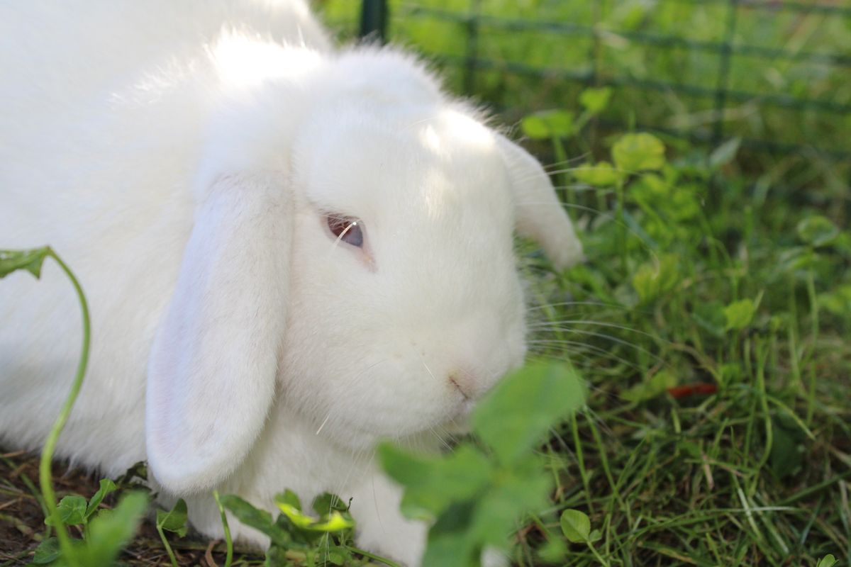 Gallery image: Squiz