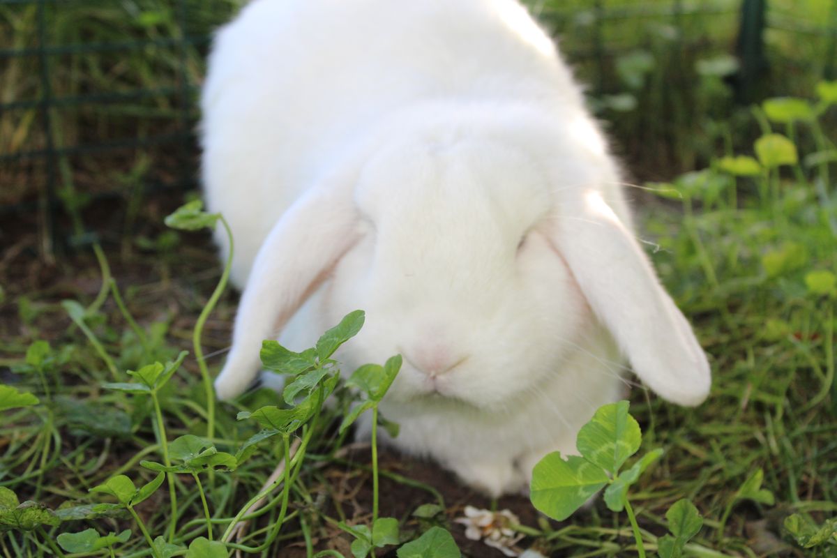 Gallery image: Squiz