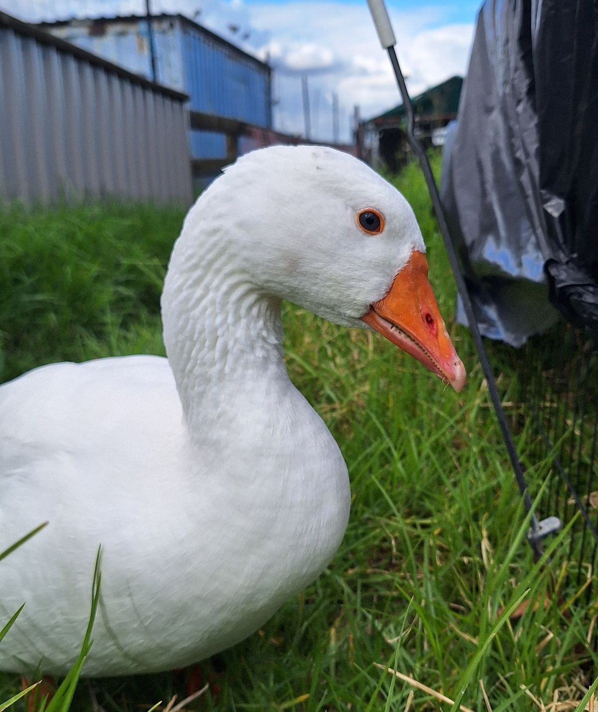 Gallery image: Juice