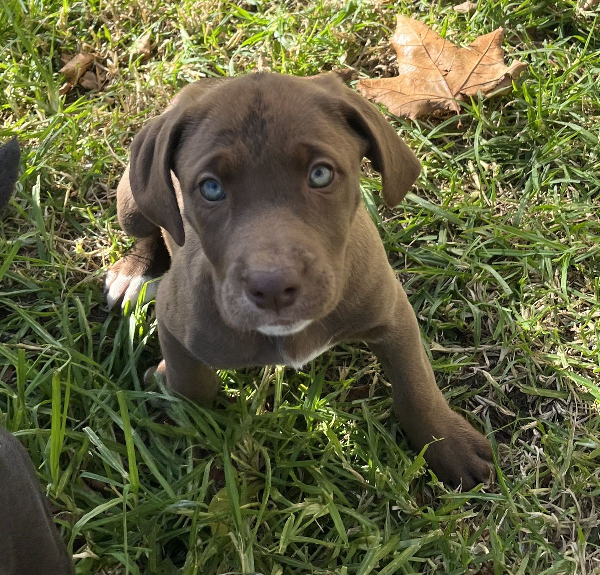 Gallery image: Heidi