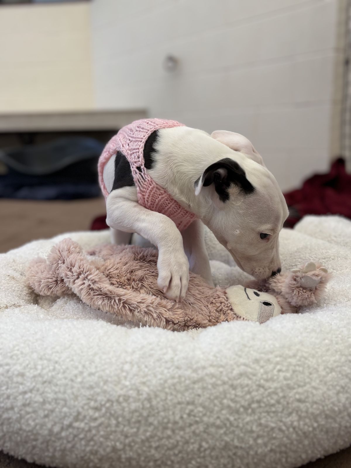 Gallery image: Patch