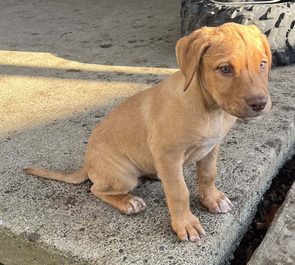 Gallery image: Haven