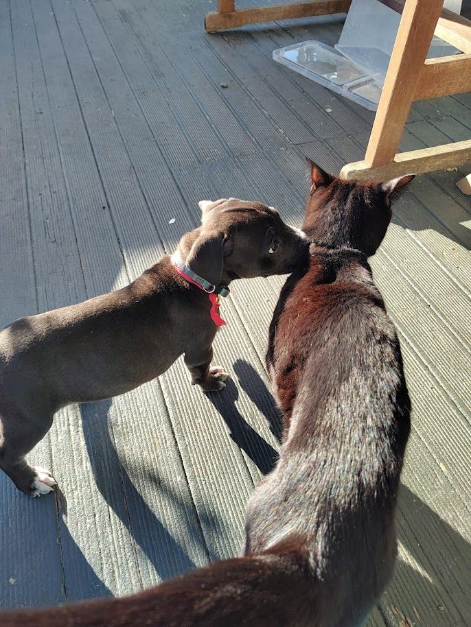 Gallery image: Button