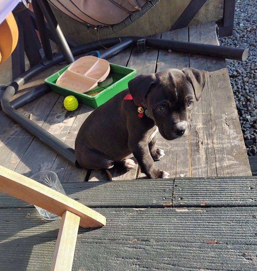 Gallery image: Button