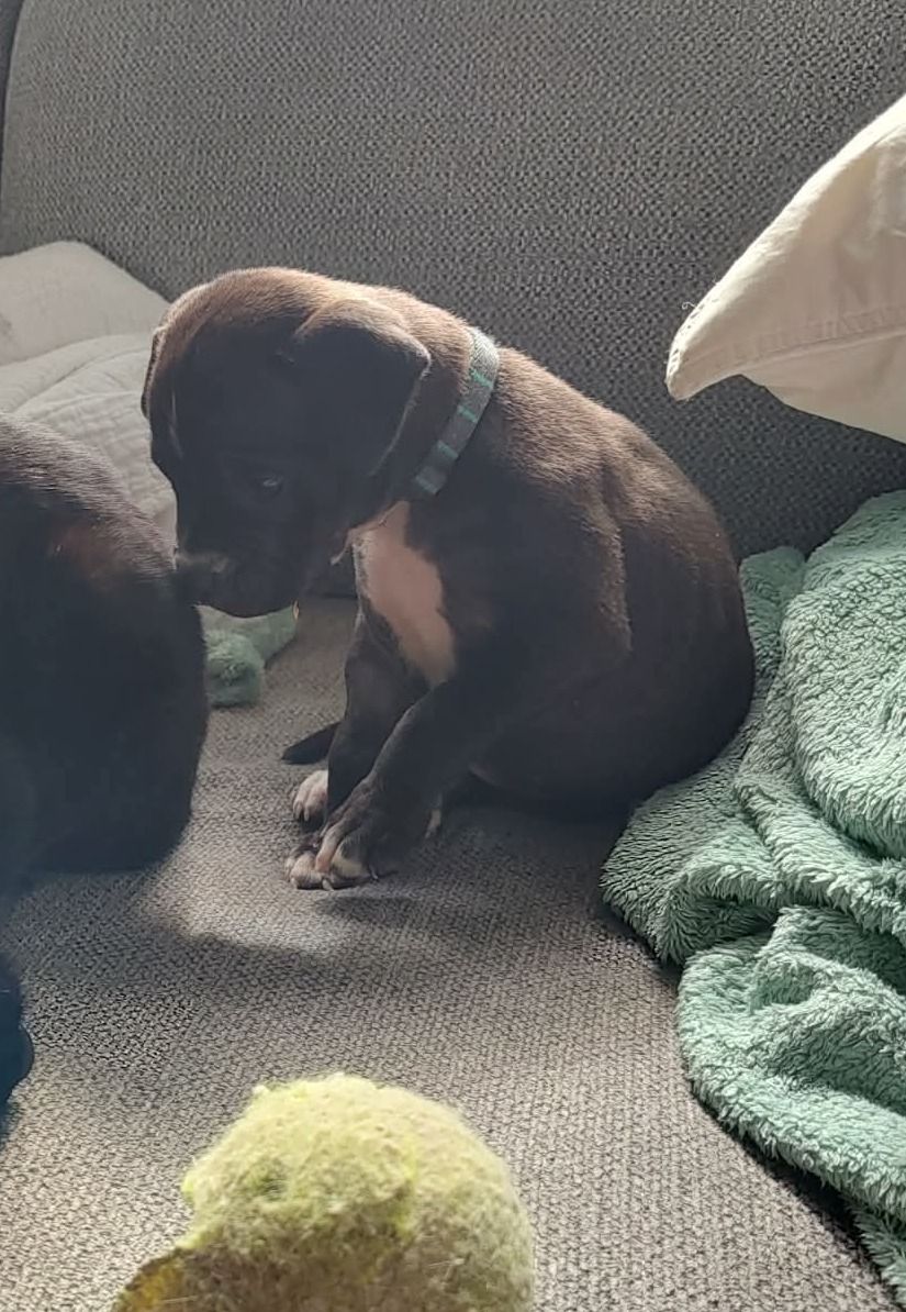 Gallery image: Button