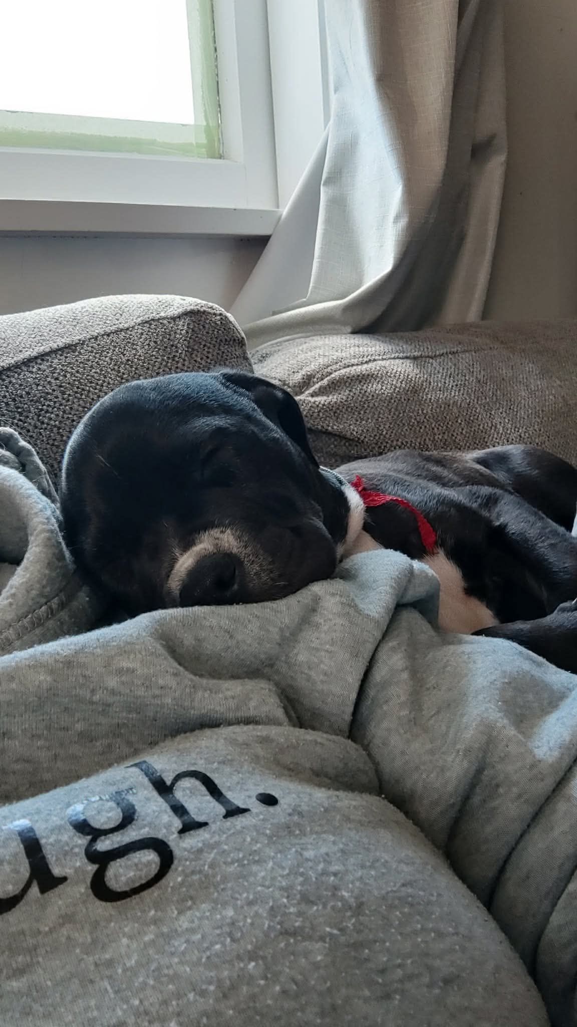 Gallery image: Button