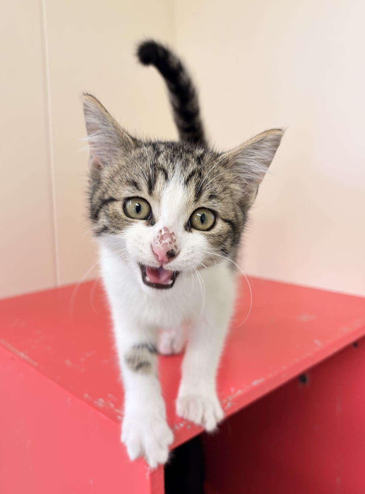 Gallery image: Wayne