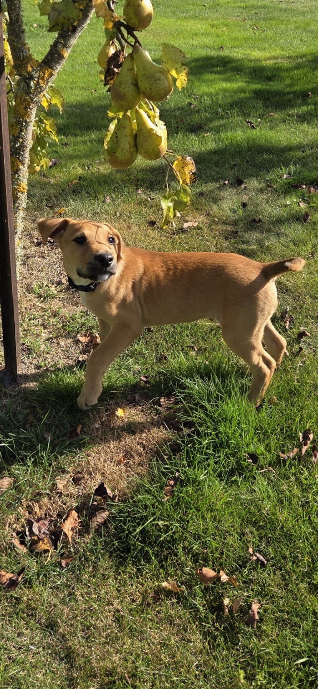 Gallery image: Whiskey