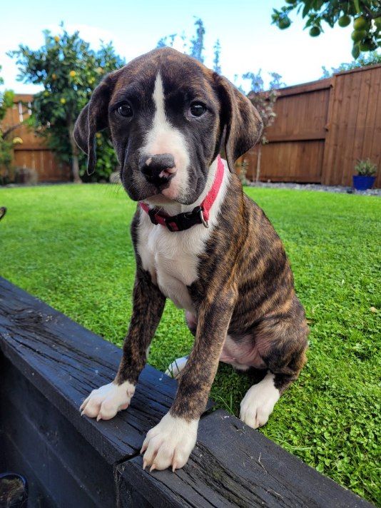 Gallery image: Skeeter Valentine