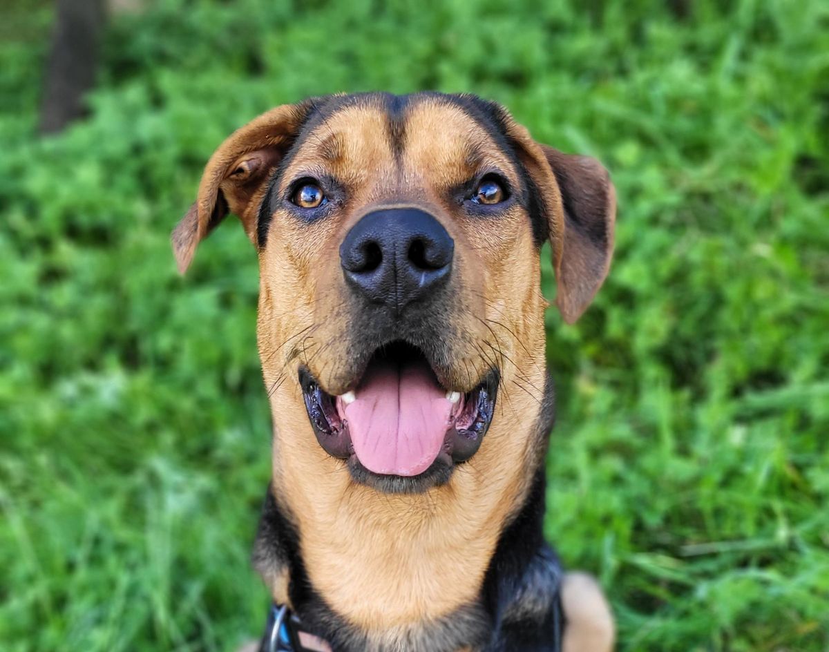 Gallery image: Trevor