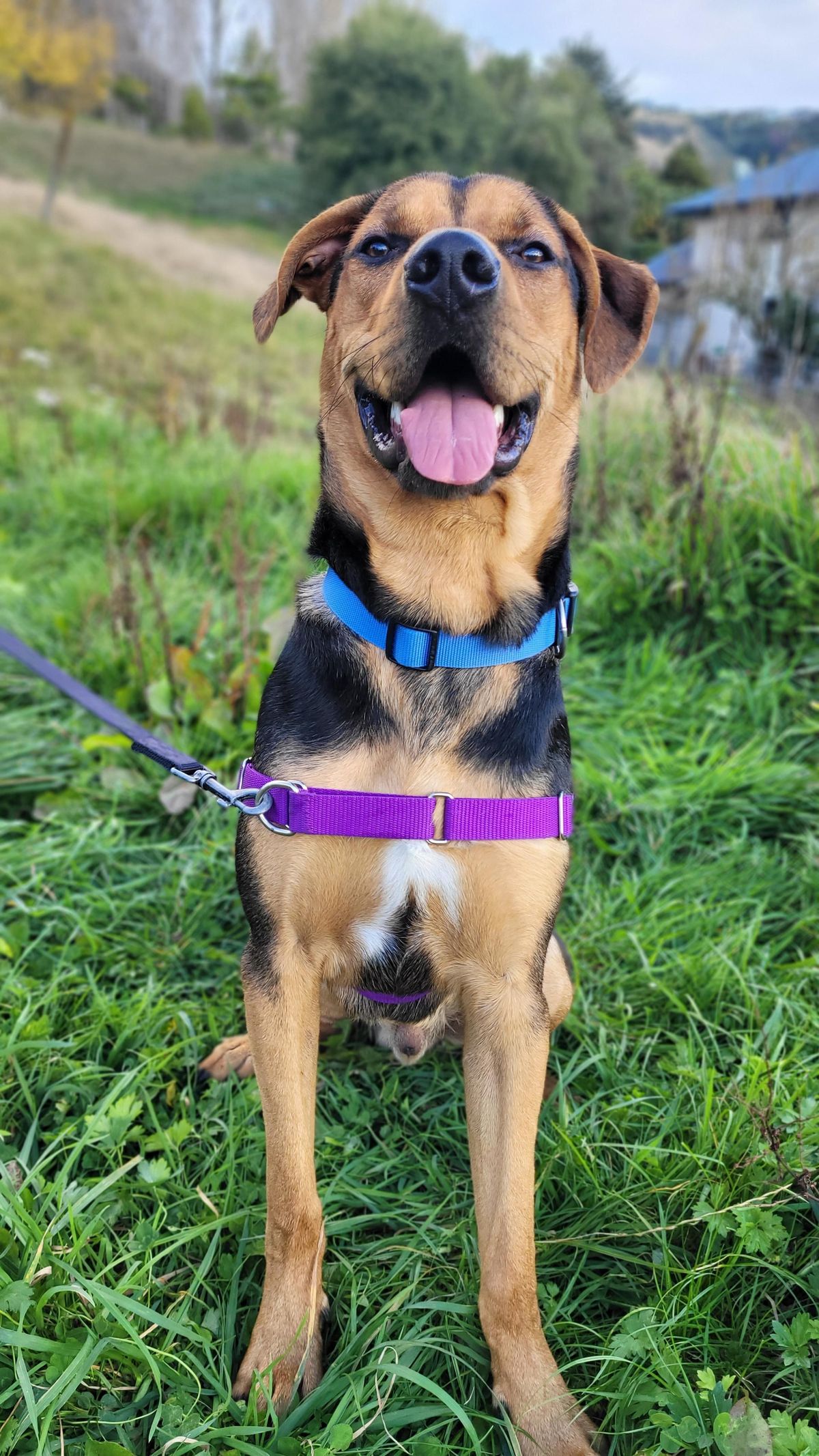 Gallery image: Trevor