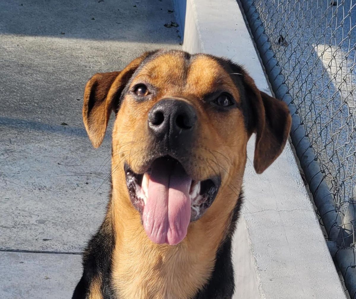 Gallery image: Trevor