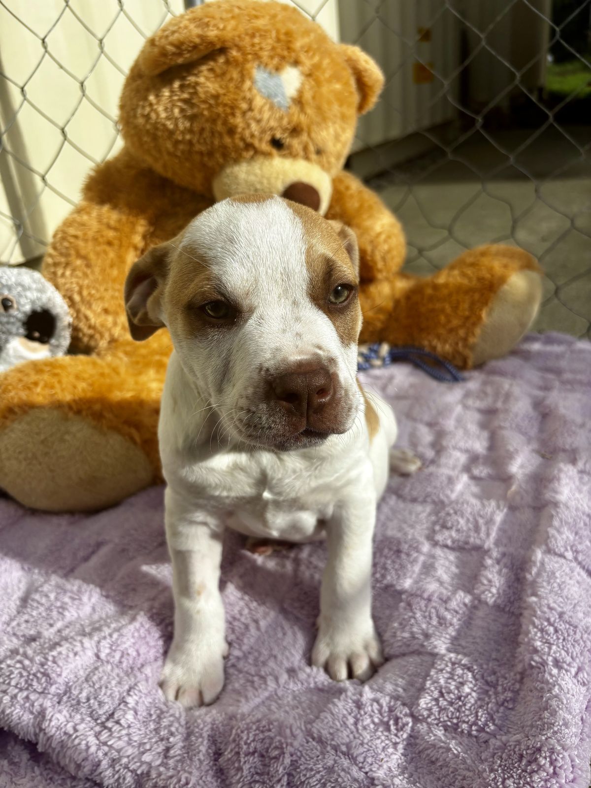 Gallery image: Selena 