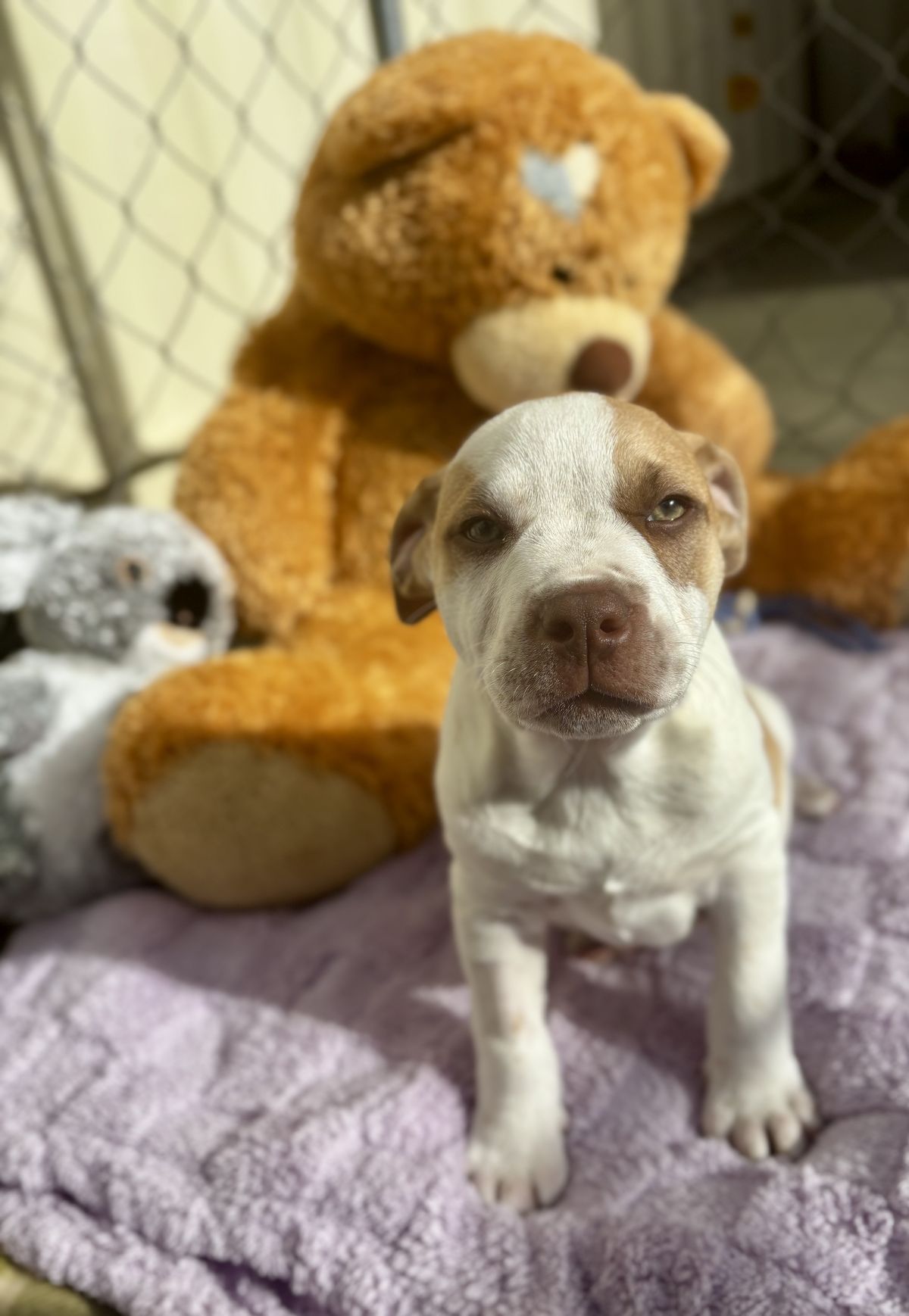 Gallery image: Selena 