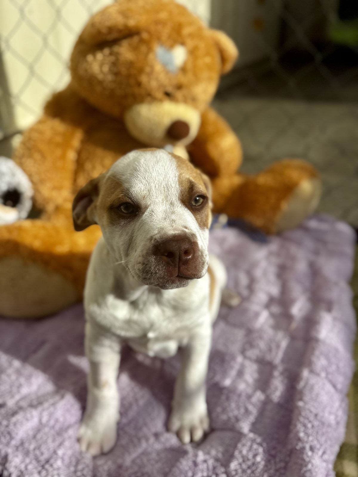 Gallery image: Selena 