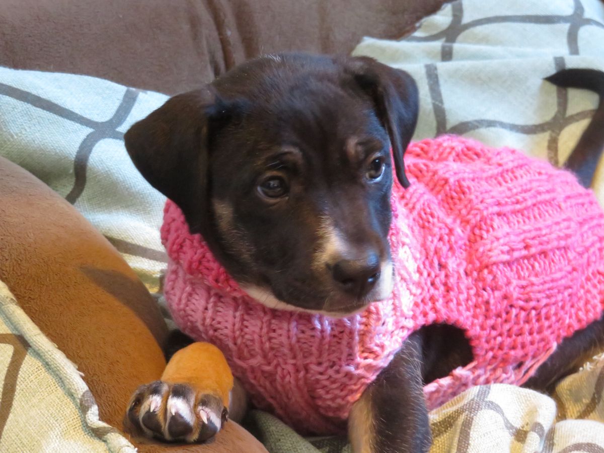 Gallery image: Edie