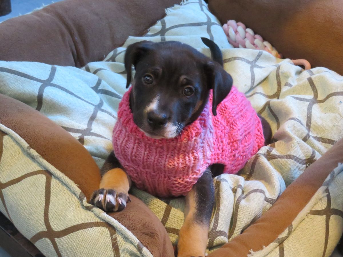Gallery image: Edie