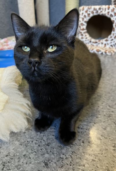 Zoe