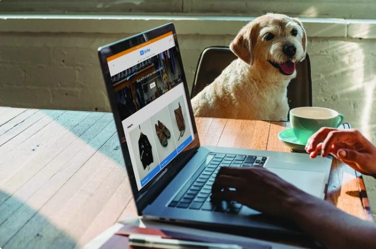 How SPCA’s Online Op Shop supports animals and sustainable living