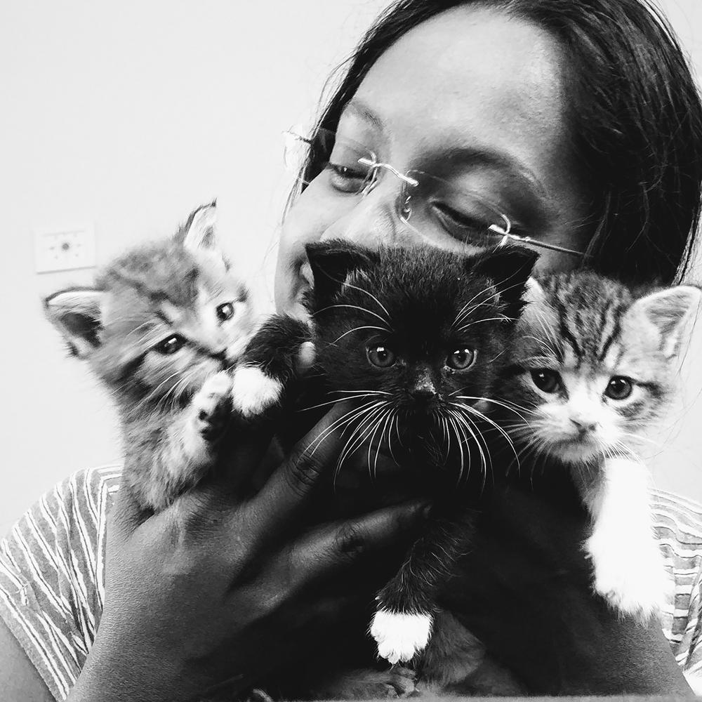 Archie with Yoshi, Gomez, and Romeo.