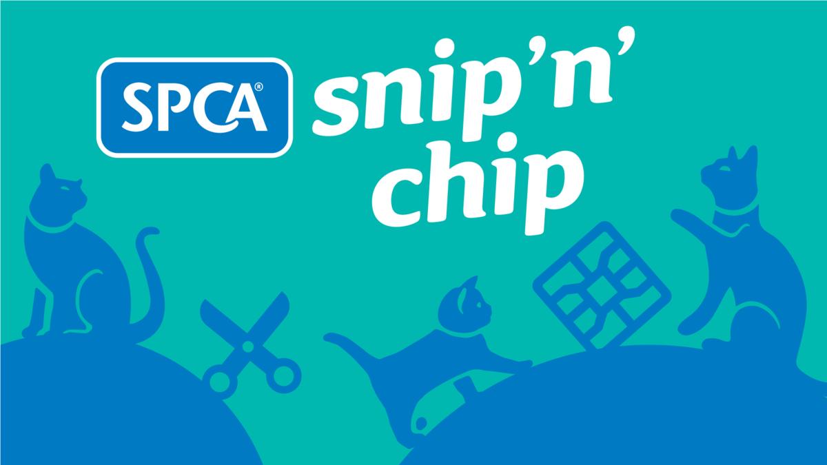 Snip 'n' Chip launches in Taumarunui