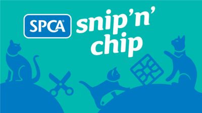 Snip 'n' Chip launches in Tokoroa