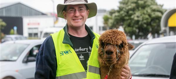 I'm thinking of adopting...a llama or alpaca