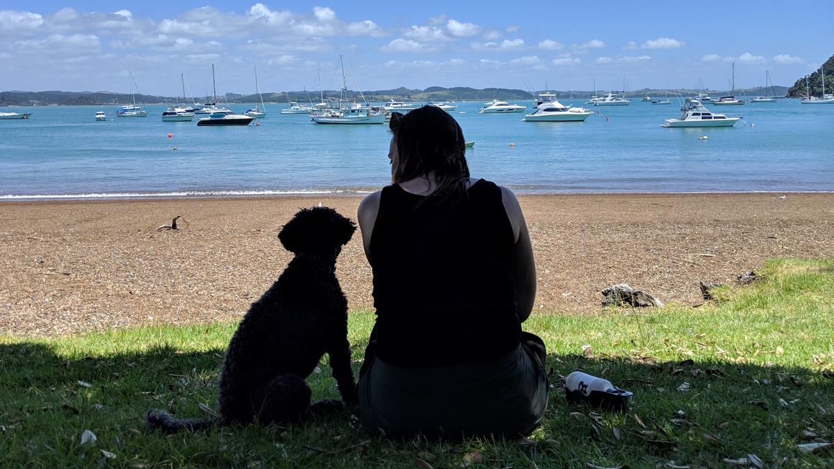 How to have the ultimate dog-friendly summer holiday