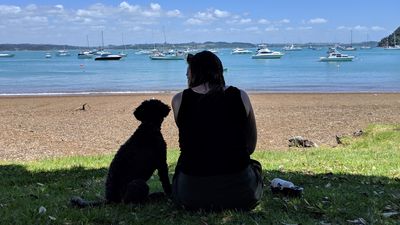 How to have the ultimate dog-friendly summer holiday