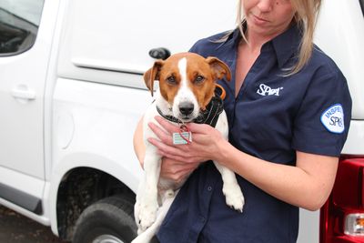 Notice of the 85th Annual General Meeting of RNZSPCA