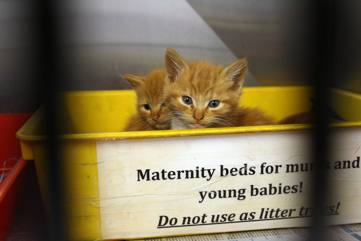 Gallery: Rehabilition