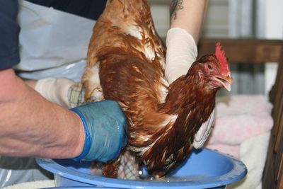 Success Story: Betty & Ethel