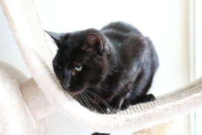 A second chance at happiness for our golden oldies