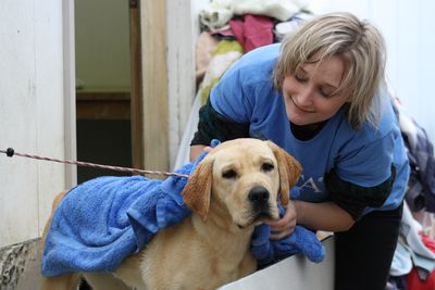Animal Centre Volunteer