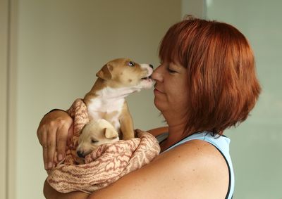 Foster parent - puppies and dogs