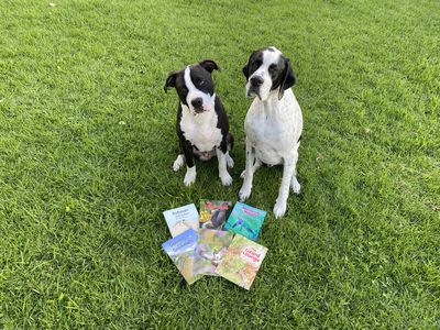 SPCA education initiative focuses on wildlife 