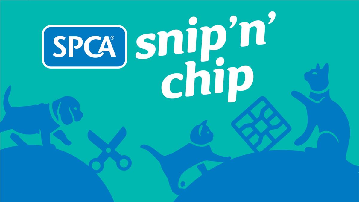 SPCA's Snip 'n' Chip launches in Wairoa
