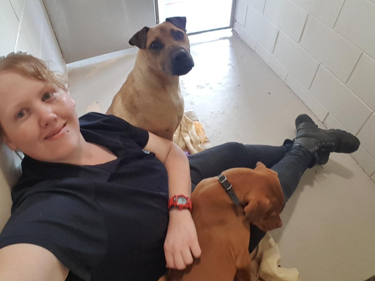 ​Inside SPCA’s upgraded New Plymouth Centre