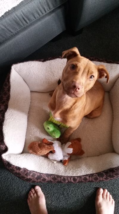 Success Story: Dottie