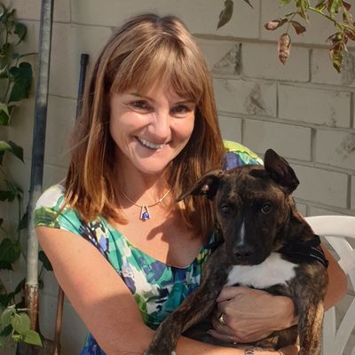 The SPCA Hall of Fame  2019