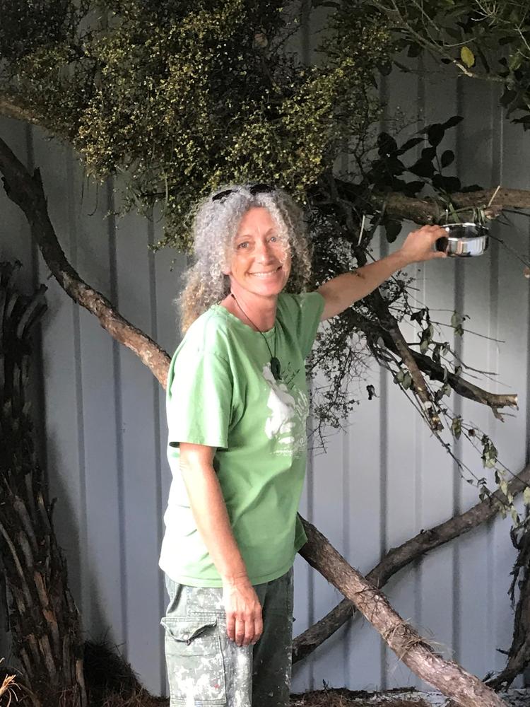 Native Bird Rescue - Waiheke Island founder Karen Saunders