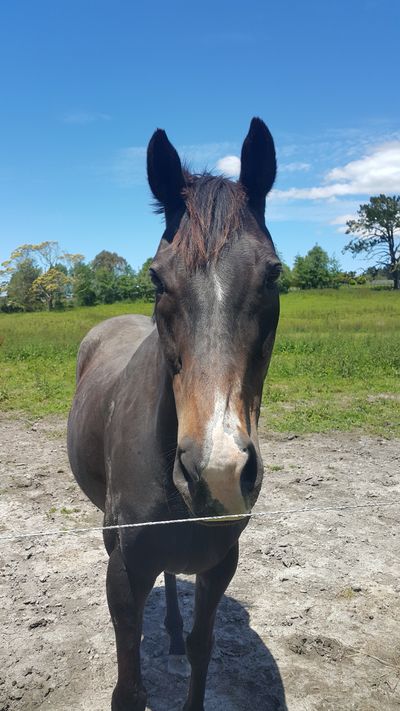 Success Story: Timmy