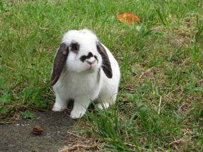 Success Story: Tesla