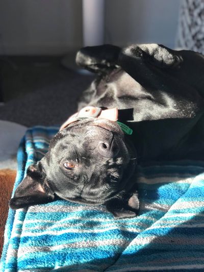 Success Story: Misty