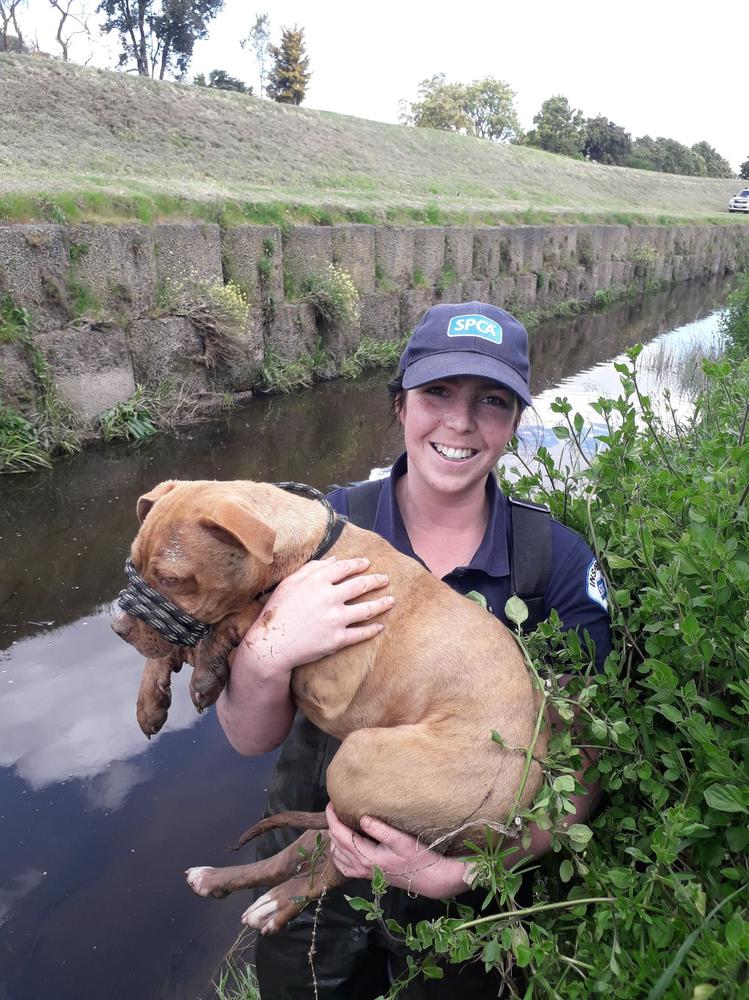 Trapped with nowhere to go – River's daring rescue 